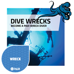 Wreck Diver